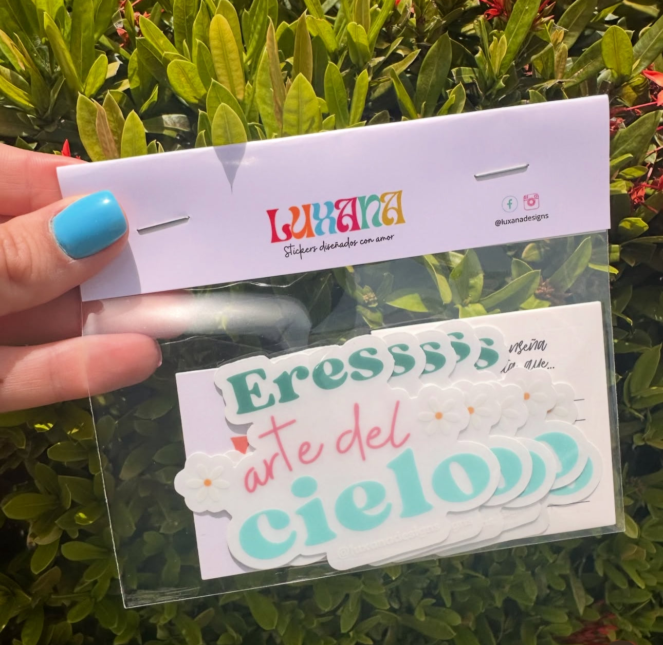 Paquete de 5 Stickers x $20